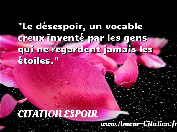 Le désespoir, un vocable creux inventé par les gens qui ne regardent jamais les étoiles. CITATION ESPOIR