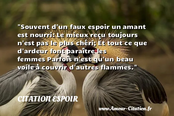 Souvent d un faux espoir un amant est nourri: Le mieux reçu toujours n est pas le plus chéri; Et tout ce que d ardeur font paraître les femmes Parfois n est qu un beau voile à couvrir d autres flammes.  CITATION ESPOIR