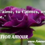  Je t aime, tu t aimes, on sème.  CITATION AMOUR