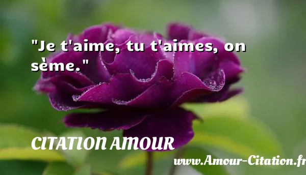Je t aime, tu t aimes, on sème.  CITATION AMOUR