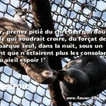  Seigneur, prenez pitié du chrétien qui doute, de l incrédule qui voudrait croire, du forçat de la vie qui s embarque seul, dans la nuit, sous un firmament que n éclairent plus les consolants fanaux du vieil espoir !  CITATION ESPOIR