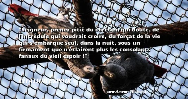 Seigneur, prenez pitié du chrétien qui doute, de l incrédule qui voudrait croire, du forçat de la vie qui s embarque seul, dans la nuit, sous un firmament que n éclairent plus les consolants fanaux du vieil espoir ! CITATION ESPOIR