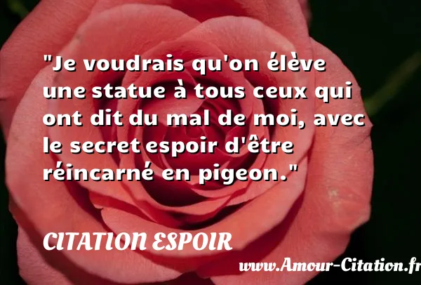 Je voudrais qu on élève une statue à tous ceux qui ont dit du mal de moi, avec le secret espoir d être réincarné en pigeon. CITATION ESPOIR