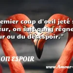  Au premier coup d oeil jeté sur un intérieur, on sait qui y règne de l amour ou du désespoir.  CITATION ESPOIR