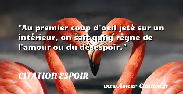 Au premier coup d oeil jeté sur un intérieur, on sait qui y règne de l amour ou du désespoir.  CITATION ESPOIR