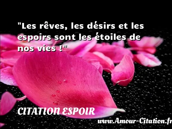 Les rêves, les désirs et les espoirs sont les étoiles de nos vies !  CITATION ESPOIR