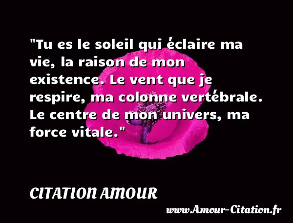 Tu es le soleil qui éclaire ma vie, la raison de mon existence. Le vent que je respire, ma colonne vertébrale. Le centre de mon univers, ma force vitale.  CITATION AMOUR