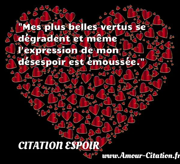Mes plus belles vertus se dégradent et même l expression de mon désespoir est émoussée.  CITATION ESPOIR