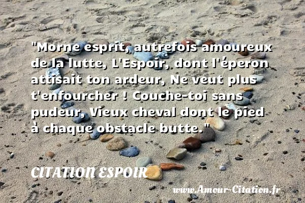 Morne esprit, autrefois amoureux de la lutte, L Espoir, dont l éperon attisait ton ardeur, Ne veut plus t enfourcher ! Couche-toi sans pudeur, Vieux cheval dont le pied à chaque obstacle butte.  CITATION ESPOIR