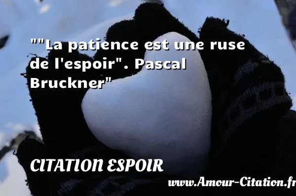 La patience est une ruse de l espoir . Pascal Bruckner  CITATION ESPOIR