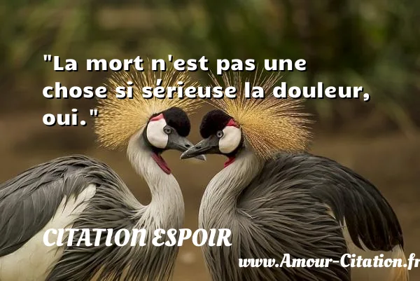 La mort n est pas une chose si sérieuse la douleur, oui. CITATION ESPOIR