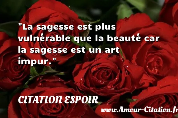 La sagesse est plus vulnérable que la beauté car la sagesse est un art impur.  CITATION ESPOIR