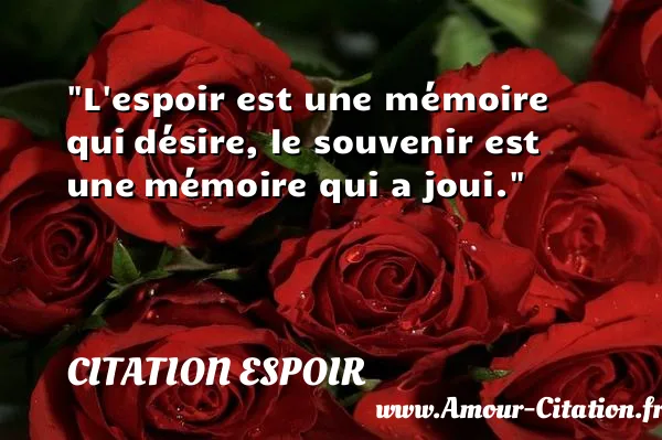 L espoir est une mémoire qui désire, le souvenir est une mémoire qui a joui. CITATION ESPOIR