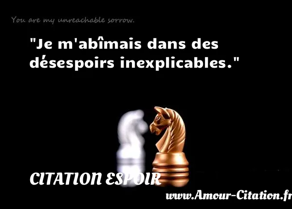 Je m abîmais dans des désespoirs inexplicables. CITATION ESPOIR
