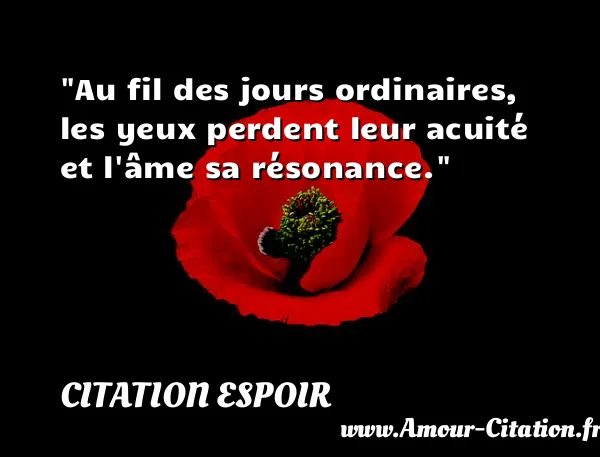 Au fil des jours ordinaires, les yeux perdent leur acuité et l âme sa résonance.  CITATION ESPOIR