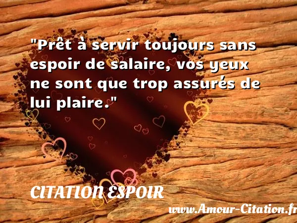 Prêt à servir toujours sans espoir de salaire, vos yeux ne sont que trop assurés de lui plaire.  CITATION ESPOIR