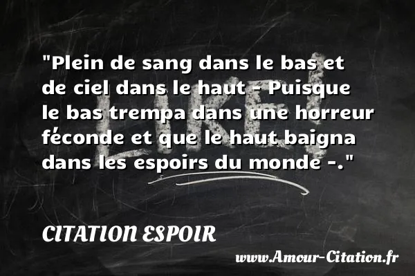 Plein de sang dans le bas et de ciel dans le haut - Puisque le bas trempa dans une horreur féconde et que le haut baigna dans les espoirs du monde -. CITATION ESPOIR