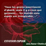  Tous les grains pourrissent d abord, mais il y a ceux qui germent... Un monde sans espoir est irrespirable...  CITATION ESPOIR
