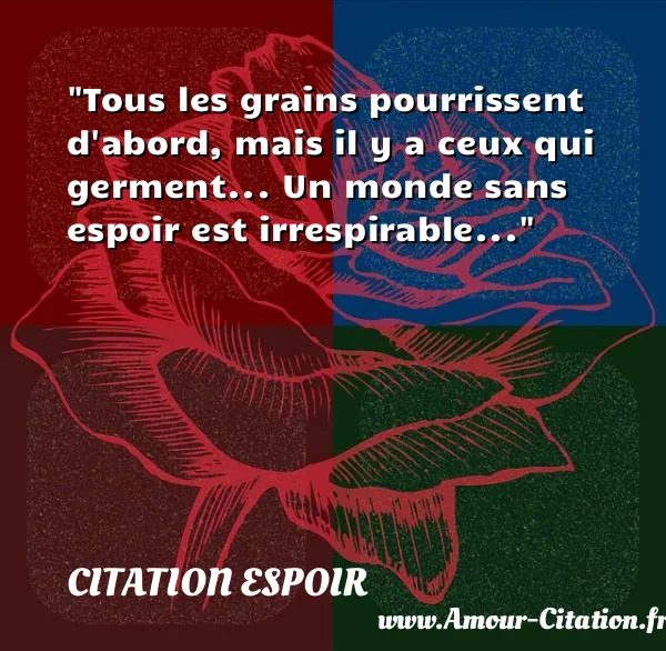 Tous les grains pourrissent d abord, mais il y a ceux qui germent... Un monde sans espoir est irrespirable...  CITATION ESPOIR
