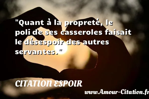 Quant à la propreté, le poli de ses casseroles faisait le désespoir des autres servantes. CITATION ESPOIR