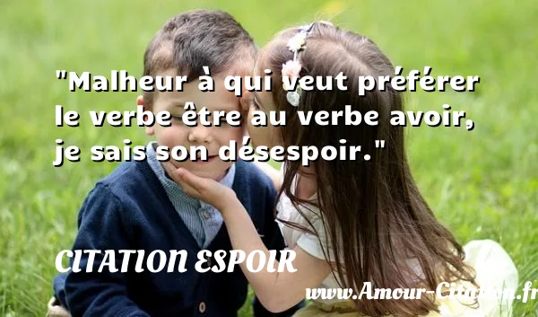 Malheur à qui veut préférer le verbe être au verbe avoir, je sais son désespoir.  CITATION ESPOIR