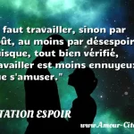  Il faut travailler, sinon par goût, au moins par désespoir, puisque, tout bien vérifié, travailler est moins ennuyeux que s amuser.  CITATION ESPOIR