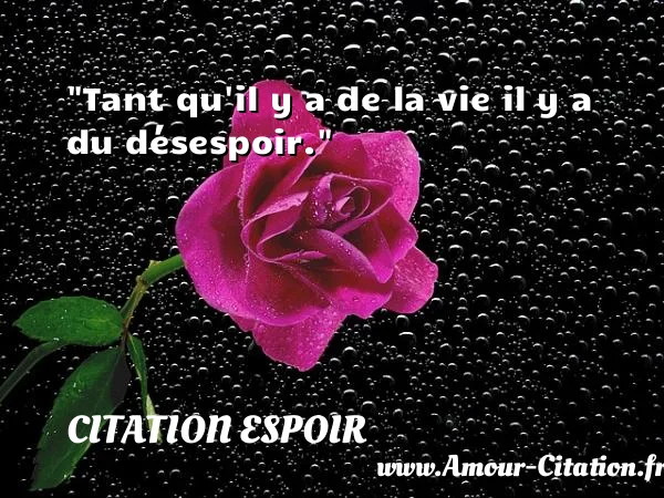 Tant qu il y a de la vie il y a du désespoir.  CITATION ESPOIR