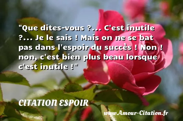 Que dites-vous ?... C est inutile ?... Je le sais ! Mais on ne se bat pas dans l espoir du succès ! Non ! non, c est bien plus beau lorsque c est inutile !  CITATION ESPOIR