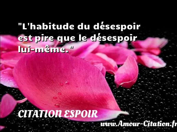 L habitude du désespoir est pire que le désespoir lui-même.  CITATION ESPOIR