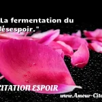  La fermentation du désespoir.  CITATION ESPOIR