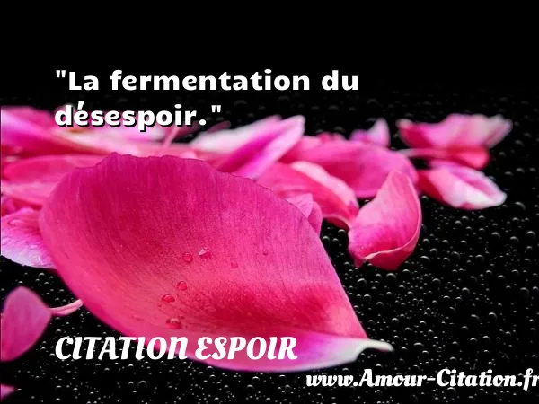 La fermentation du désespoir.  CITATION ESPOIR