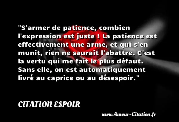 S armer de patience, combien l expression est juste ! La patience est effectivement une arme, et qui s en munit, rien ne saurait l abattre. C est la vertu qui me fait le plus défaut. Sans elle, on est automatiquement livré au caprice ou au désespoir.  CITATION ESPOIR