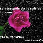  Le désespoir est le suicide du coeur.  CITATION ESPOIR
