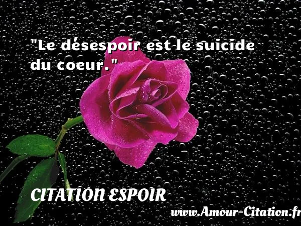 Le désespoir est le suicide du coeur. CITATION ESPOIR