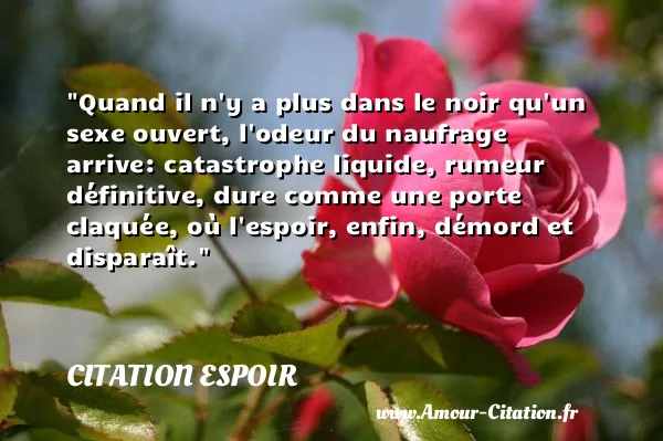 Quand il n y a plus dans le noir qu un sexe ouvert, l odeur du naufrage arrive: catastrophe liquide, rumeur définitive, dure comme une porte claquée, où l espoir, enfin, démord et disparaît.  CITATION ESPOIR