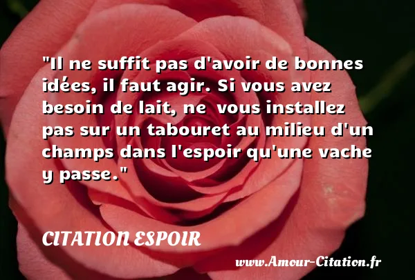 Il ne suffit pas d avoir de bonnes idées, il faut agir. Si vous avez besoin de lait, ne  vous installez pas sur un tabouret au milieu d un champs dans l espoir qu une vache y passe.  CITATION ESPOIR
