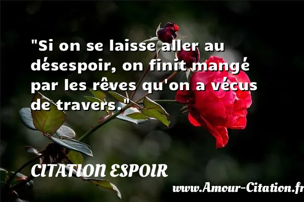 Si on se laisse aller au désespoir, on finit mangé par les rêves qu on a vécus de travers. CITATION ESPOIR