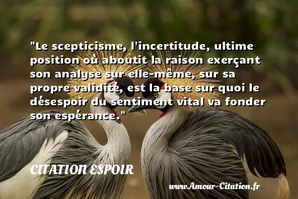 Le scepticisme, l incertitude, ultime position où aboutit la raison exerçant son analyse sur elle-même, sur sa propre validité, est la base sur quoi le désespoir du sentiment vital va fonder son espérance.  CITATION ESPOIR