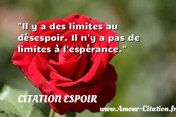 Il y a des limites au désespoir. Il n y a pas de limites à l espérance.  CITATION ESPOIR