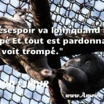 Un désespoir va loin quand il Un désespoir va loin quand il est échappé Et tout est pardonnable à qui se voit trompé. CITATION ESPOIR