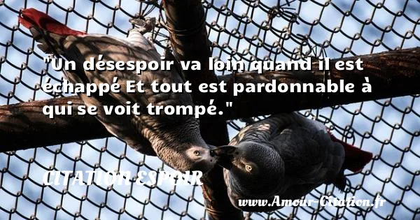 Un désespoir va loin quand il est échappé Et tout est pardonnable à qui se voit trompé.  CITATION ESPOIR