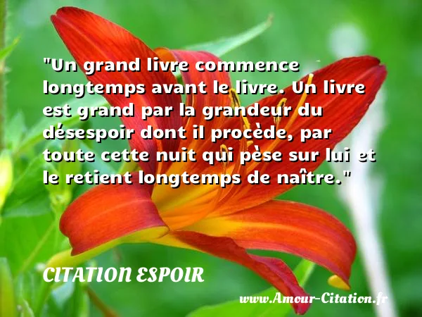Un grand livre commence longtemps avant le livre. Un livre est grand par la grandeur du désespoir dont il procède, par toute cette nuit qui pèse sur lui et le retient longtemps de naître.  CITATION ESPOIR