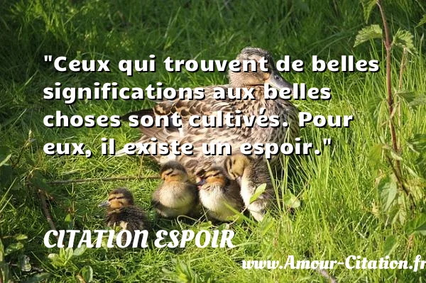 Ceux qui trouvent de belles significations aux belles choses sont cultivés. Pour eux, il existe un espoir. CITATION ESPOIR