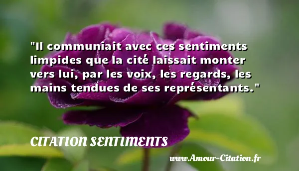 Il communiait avec ces sentiments limpides que la cité laissait monter vers lui, par les voix, les regards, les mains tendues de ses représentants.  CITATION SENTIMENTS