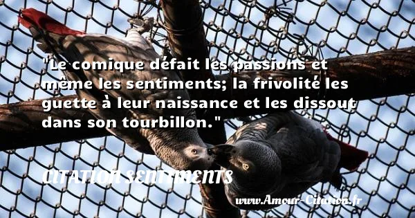 Le comique défait les passions et même les sentiments; la frivolité les guette à leur naissance et les dissout dans son tourbillon. CITATION SENTIMENTS