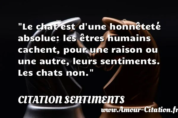 Le chat est d une honnêteté absolue: les êtres humains cachent, pour une raison ou une autre, leurs sentiments. Les chats non.  CITATION SENTIMENTS