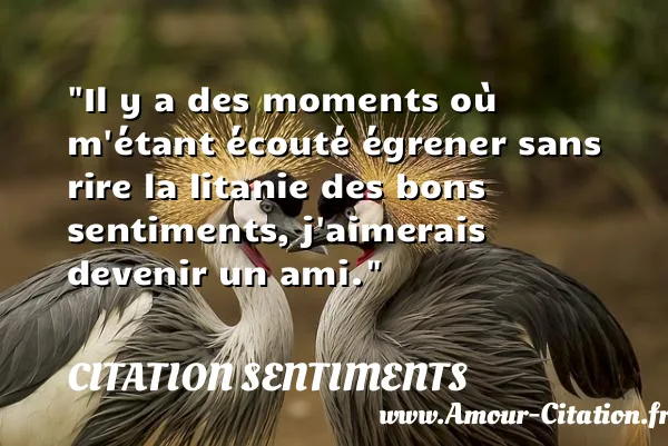 Il y a des moments où m étant écouté égrener sans rire la litanie des bons sentiments, j aimerais devenir un ami.  CITATION SENTIMENTS