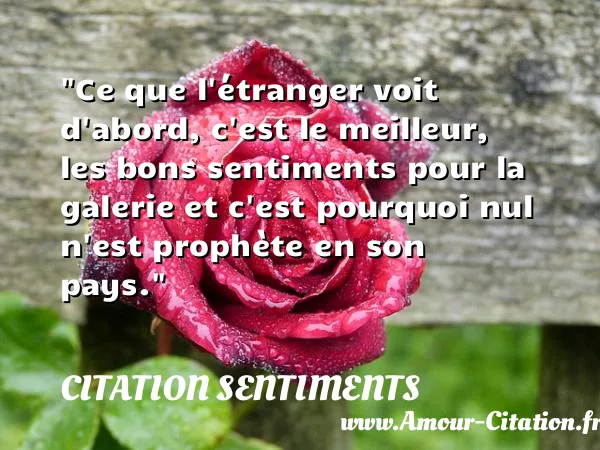 Ce que l étranger voit d abord, c est le meilleur, les bons sentiments pour la galerie et c est pourquoi nul n est prophète en son pays. CITATION SENTIMENTS