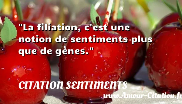 La filiation, c est une notion de sentiments plus que de gènes. CITATION SENTIMENTS