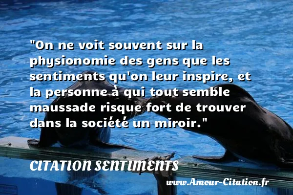 On ne voit souvent sur la physionomie des gens que les sentiments qu on leur inspire, et la personne à qui tout semble maussade risque fort de trouver dans la société un miroir.  CITATION SENTIMENTS